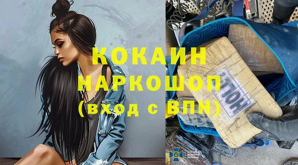 кокс Вяземский