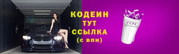 кокс Вяземский